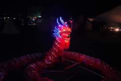 IMG-20220308-WA0001